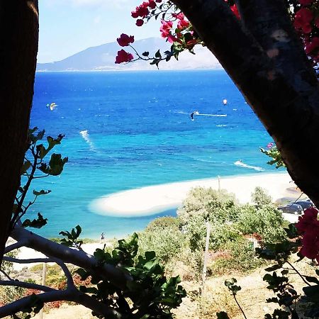 Marmari Megali Ammos Oasis Apartment & Studio Agia Marina  المظهر الخارجي الصورة